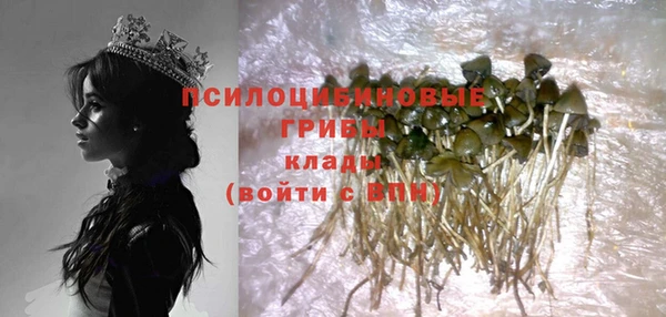 a pvp Арсеньев