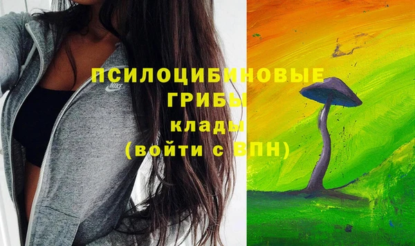 индика Алзамай