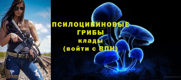 a pvp Арсеньев